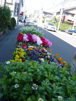 busgarden11.jpg